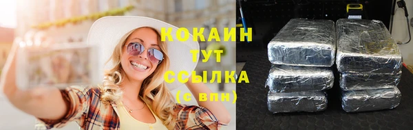 крисы Няндома