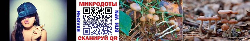 где найти наркотики  Саров  мега как зайти  Галлюциногенные грибы Magic Shrooms 