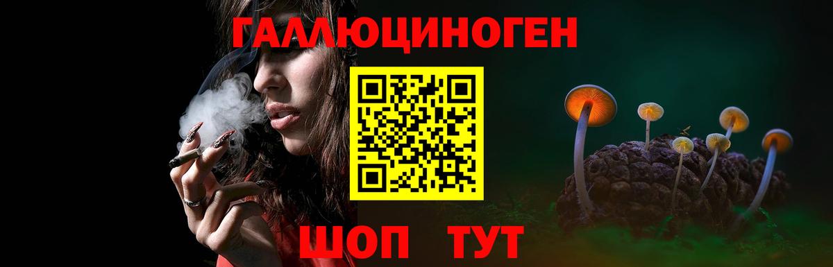 Псилоцибиновые грибы ЛСД Саров